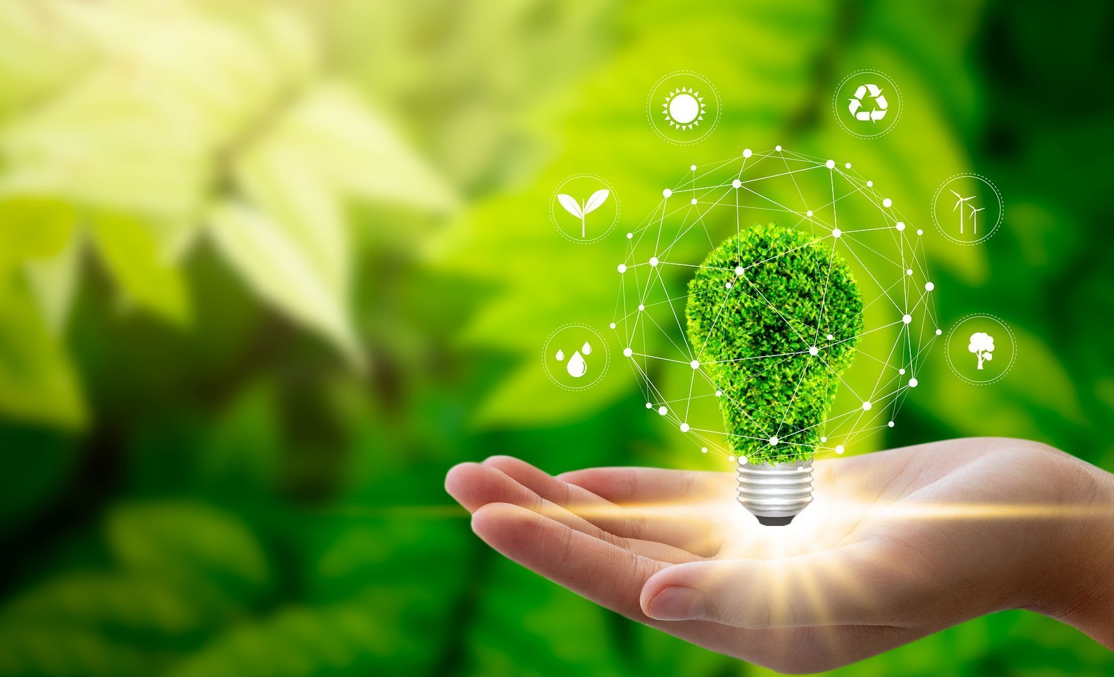 Hand Holding Light Bulb Against Nature On Green Leaf With Icons