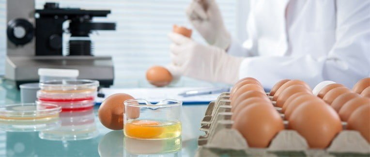 FOODSAFETY4