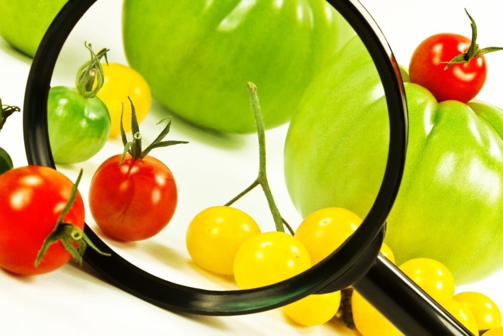 HACCP2
