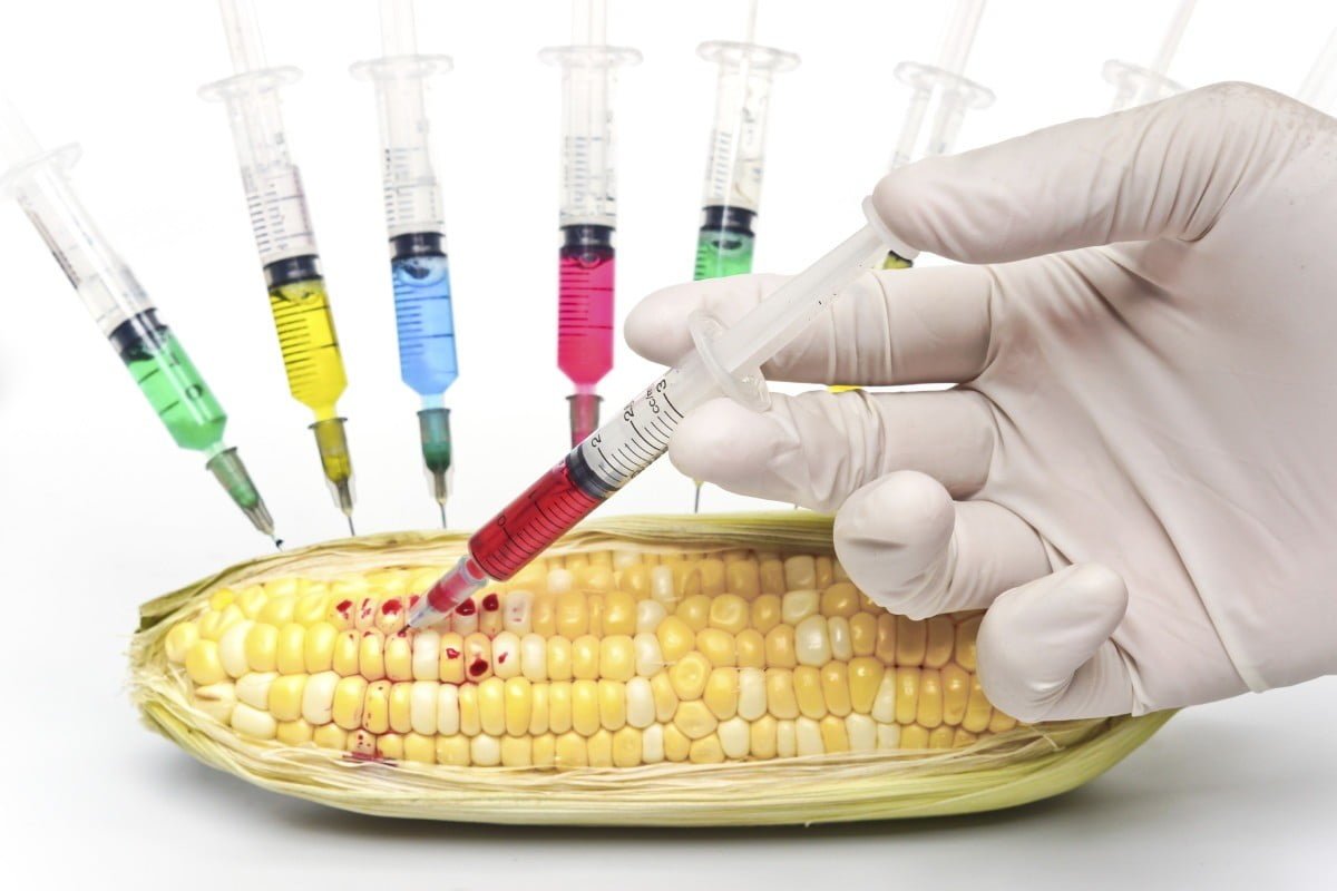 food fraud