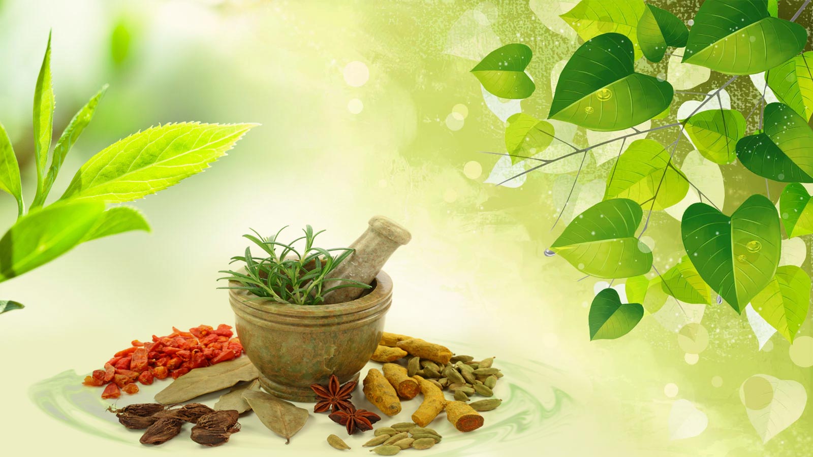 AYUSH 3