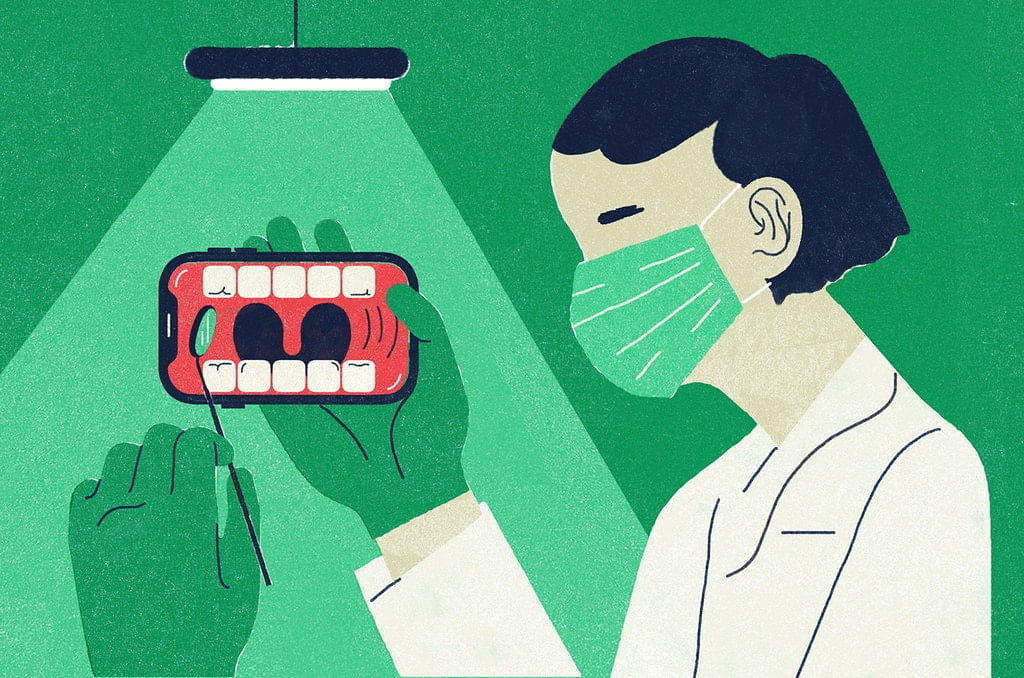 DENTAL 3