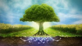irca certified_ISO 14001_lead auditor course