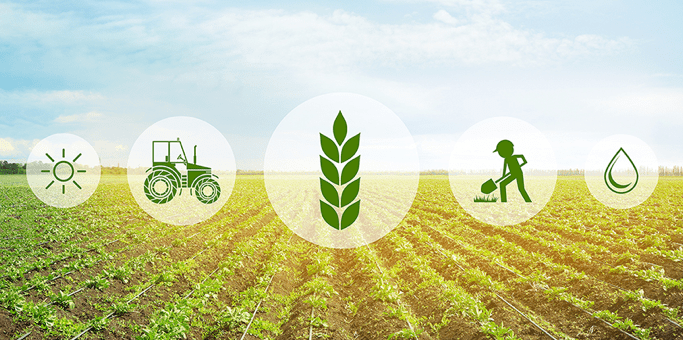 AGRICULTURE (1)